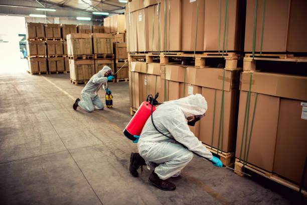 Best Bed Bug Extermination  in Galatia, IL
