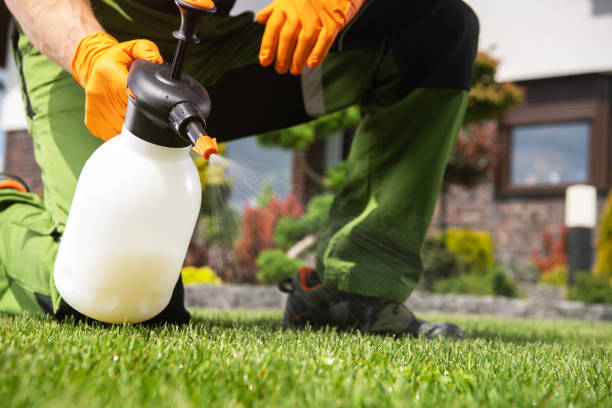 Best Residential Pest Control  in Galatia, IL