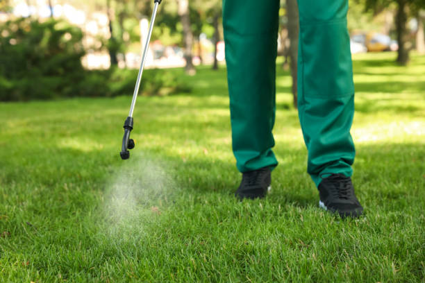 Best Local Pest Control Services  in Galatia, IL