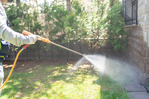 Professional Pest Control in Galatia, IL