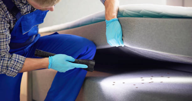 Best Mosquito Control Services  in Galatia, IL