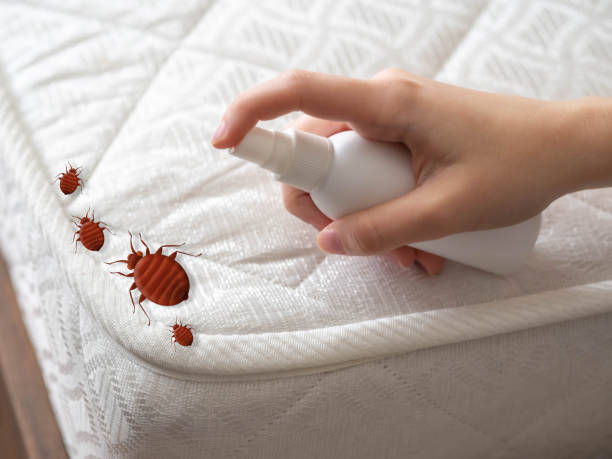 Best Exterminator Services  in Galatia, IL
