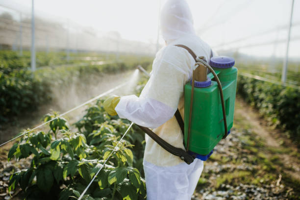 Best Mosquito Control Services  in Galatia, IL